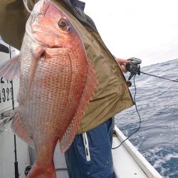 だて丸 釣果