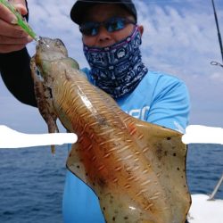 きずなまりん 釣果