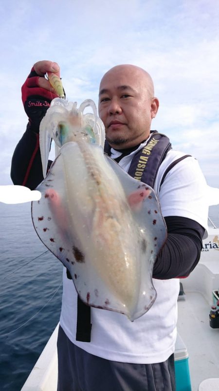 きずなまりん 釣果