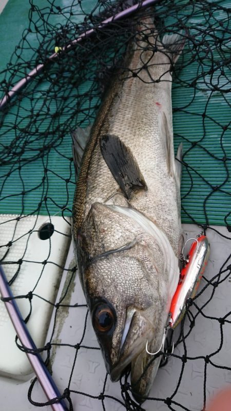 鷹王丸 釣果