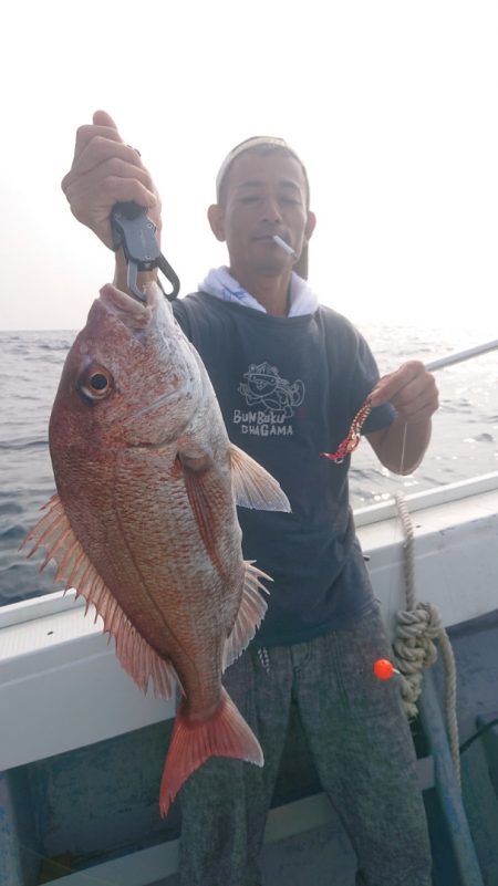 だて丸 釣果