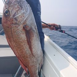 だて丸 釣果