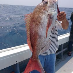 だて丸 釣果