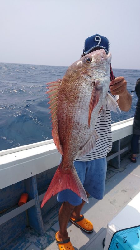 だて丸 釣果