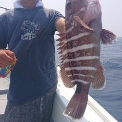 だて丸 釣果