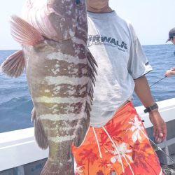 だて丸 釣果