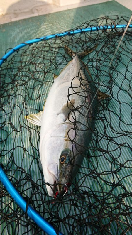 鷹王丸 釣果