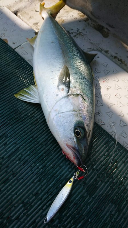 鷹王丸 釣果