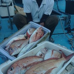 シースナイパー海龍 釣果