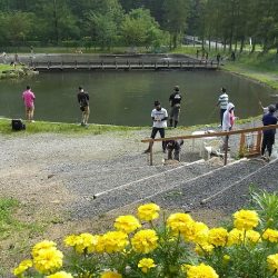 平谷湖フィッシングスポット 釣果