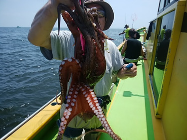 鴨下丸 釣果