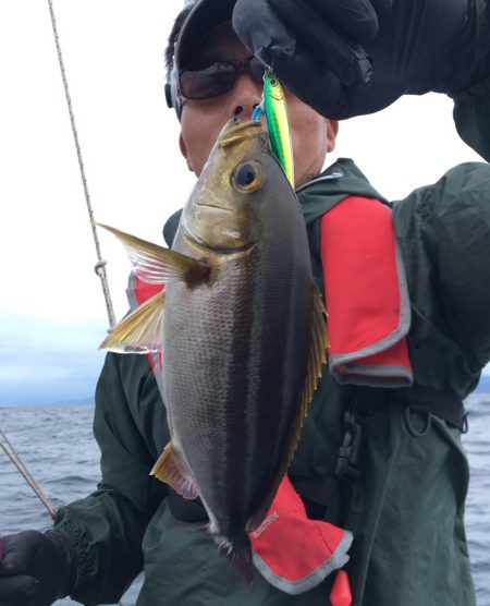 渡船屋たにぐち 釣果