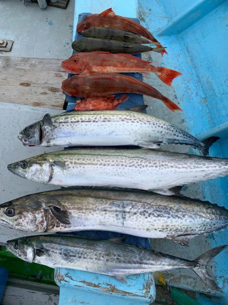 みやけ丸 釣果