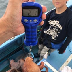 ヤザワ渡船 釣果