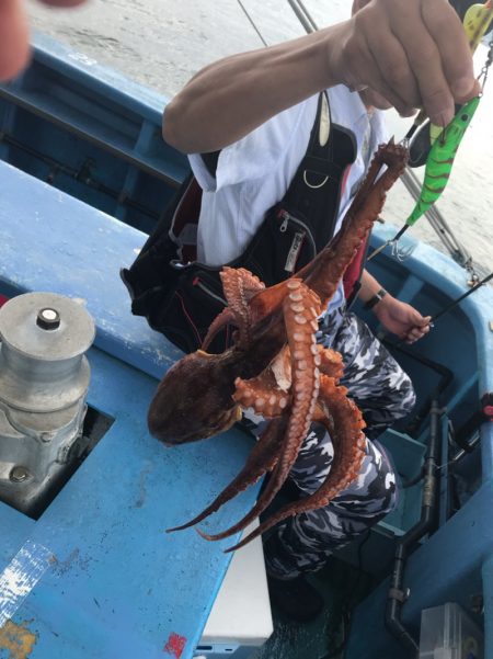 ヤザワ渡船 釣果