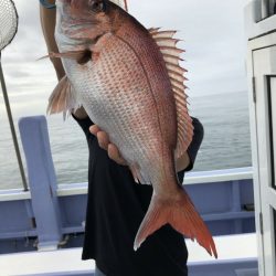 新幸丸 釣果