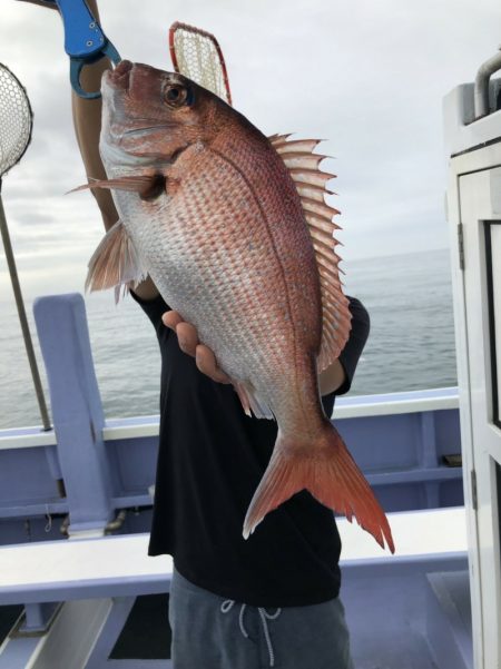 新幸丸 釣果