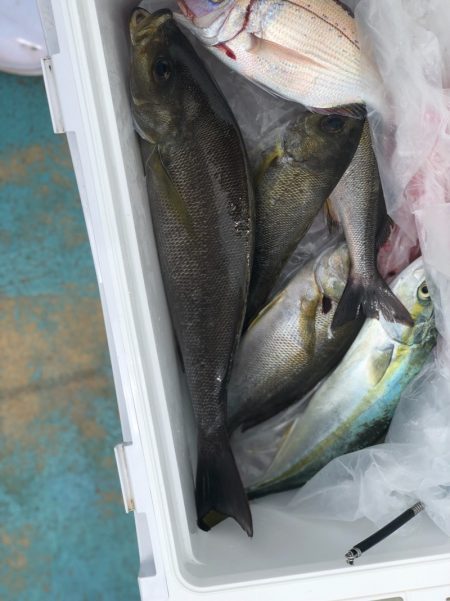 丸万釣船 釣果