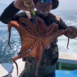 ヤザワ渡船 釣果