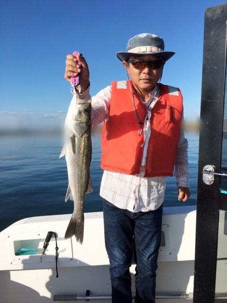 うさぎ丸 釣果