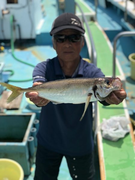 丸万釣船 釣果