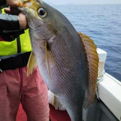 光生丸 釣果