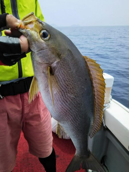 光生丸 釣果