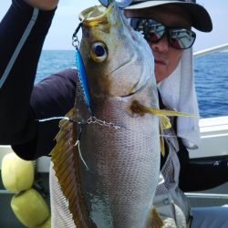 光生丸 釣果