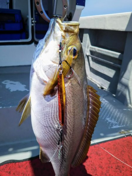 光生丸 釣果