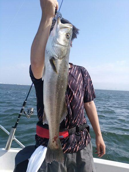 bay style 釣果