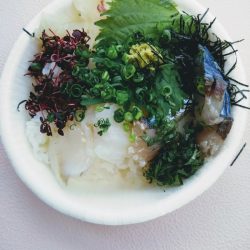 光生丸 釣果