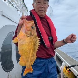 シーランチ 釣果