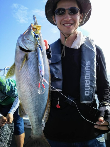 光生丸 釣果