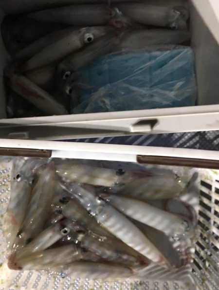 渡船屋たにぐち 釣果