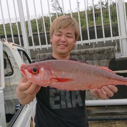 だて丸 釣果