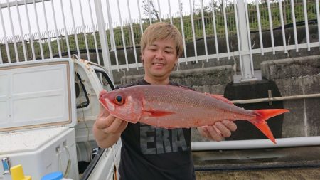 だて丸 釣果