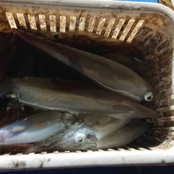 海龍丸（石川） 釣果