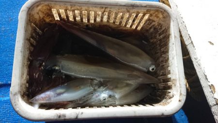 海龍丸（石川） 釣果