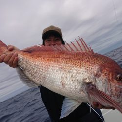 だて丸 釣果