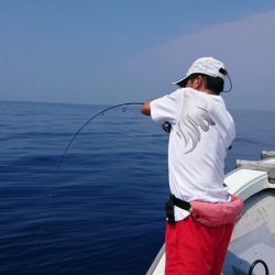 鷹王丸 釣果