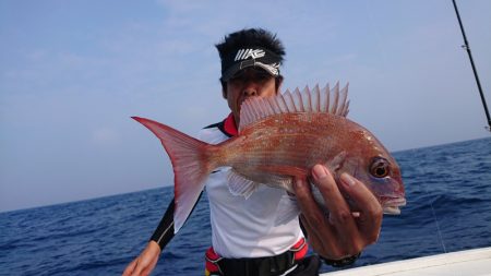 だて丸 釣果