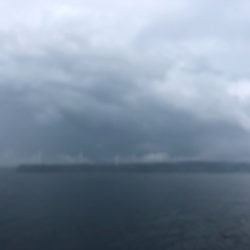 「LaGooN」蒼陽丸 日和号　 釣果