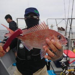 ありもと丸 釣果