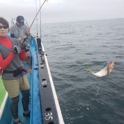 丸万釣船 釣果