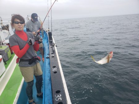 丸万釣船 釣果