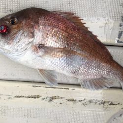 大雄丸 釣果