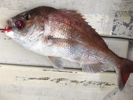 大雄丸 釣果