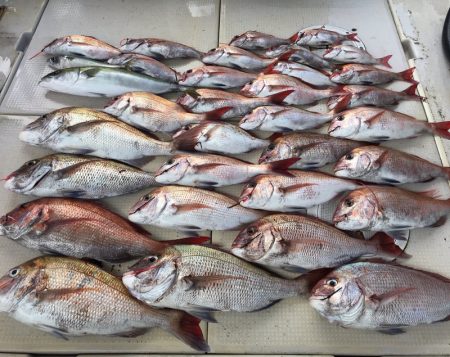 大雄丸 釣果