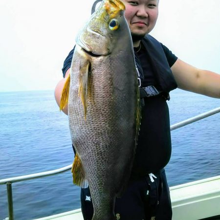 光生丸 釣果