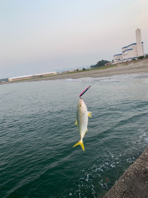 久々の釣行